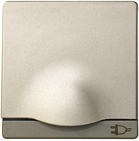 Лицевая панель Simon82 для 1-м. розетки 220В с крышкой шампань картинка